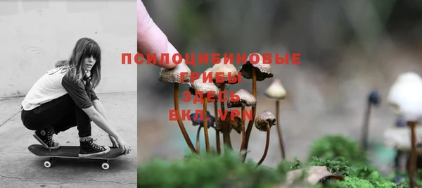 меф Богородицк