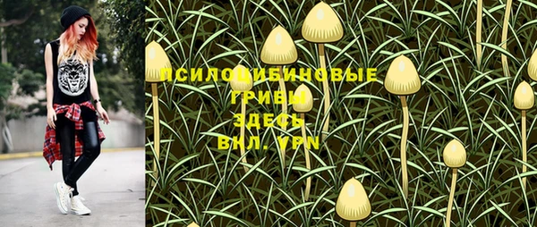 МДПВ Богородск