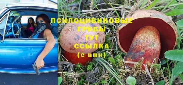 гидропоника Балахна